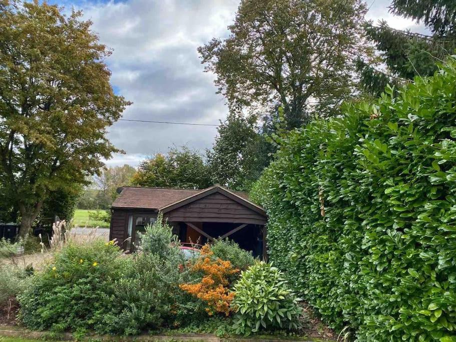 Winterborne Lodge Blandford Forum Exteriér fotografie